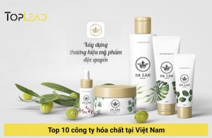 da lan cong ty hoa chat tai viet nam